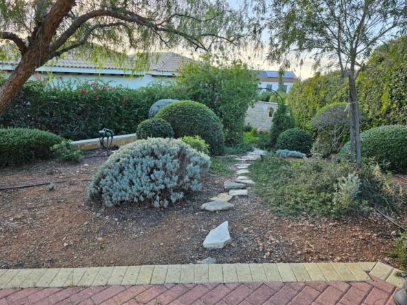 Hauson Realty - Cyprus Real Estate Agents A garden with a stone path and shrubs.